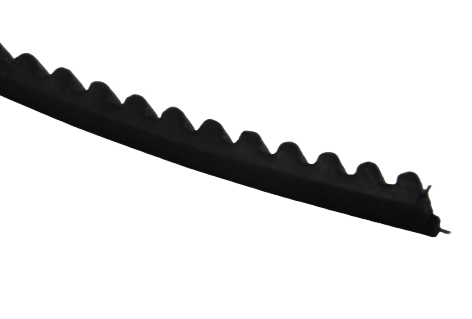 A close up view of a Besam belt with teeth, on a white background.