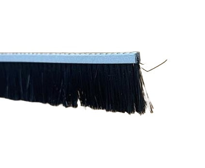 A view of a brush, used as a door seal to prevent drafts and maintain room temperature. On a white background.